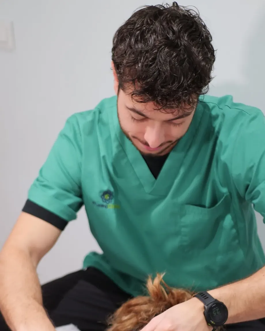 Víctor Marhuenda, fisioterapeuta, trata la zona cervical de una paciente tumbada boca abajo en una sala de Punto Cero